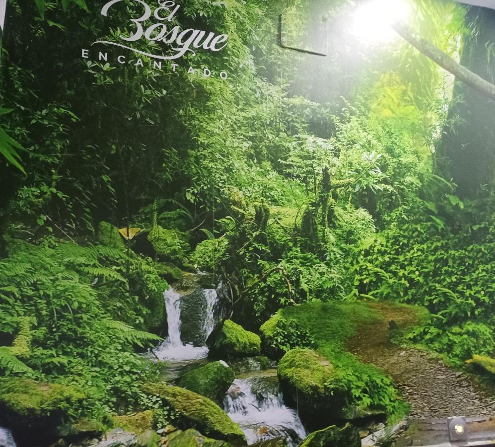 El Bosque Encantado Pensión